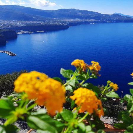 Bella Vista House-Sorrento Coast - Free Parking-Solarium Lägenhet Vico Equense Exteriör bild
