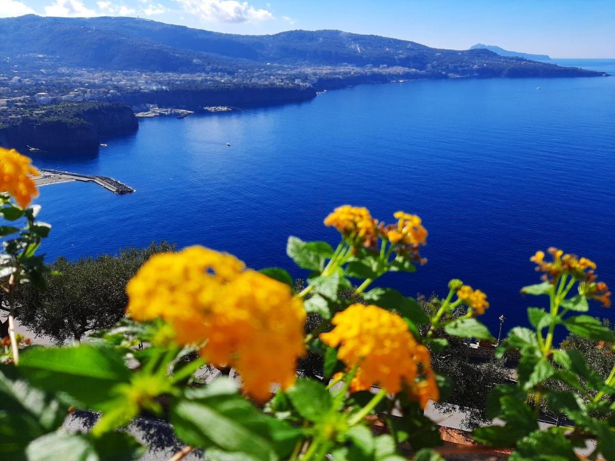 Bella Vista House-Sorrento Coast - Free Parking-Solarium Lägenhet Vico Equense Exteriör bild